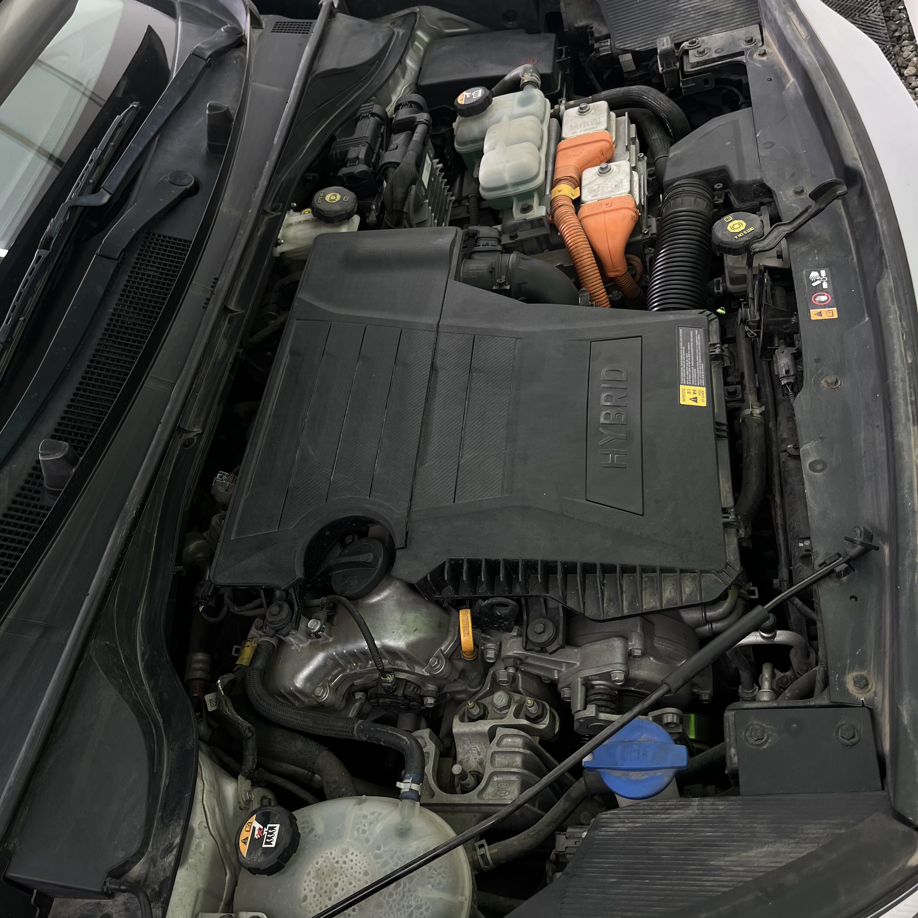 KIA NIRO EMOTION TP 1.6CC 2020: imagen 20